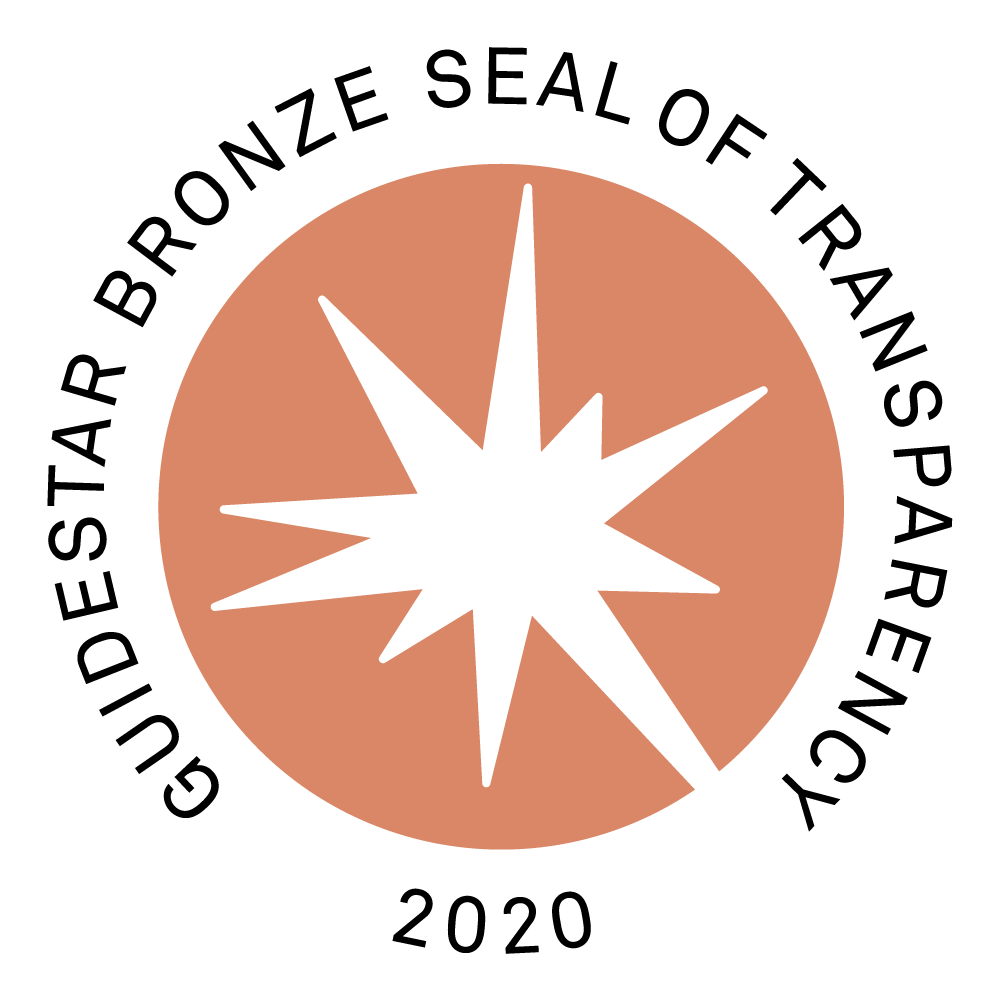 Guidestar Bronze Seal of Transparency 2020 - Hope Vision Foundation